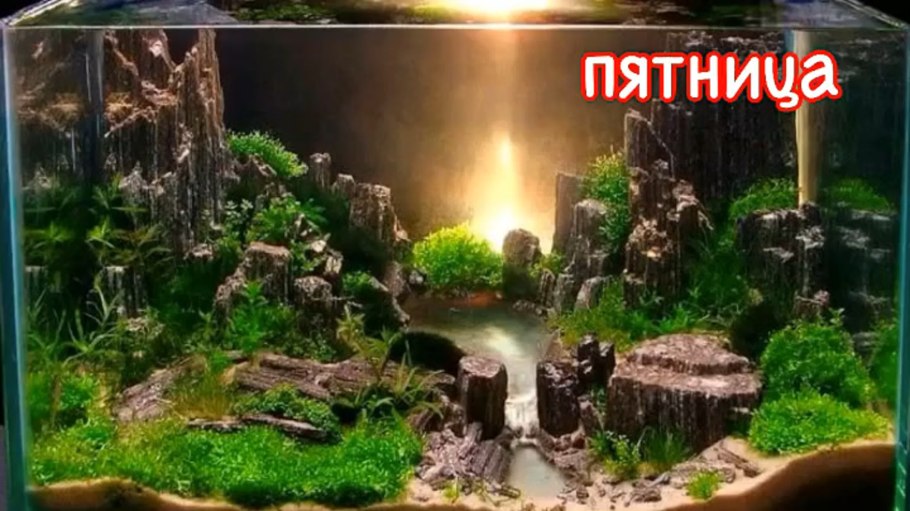 Красивый декор аквариума