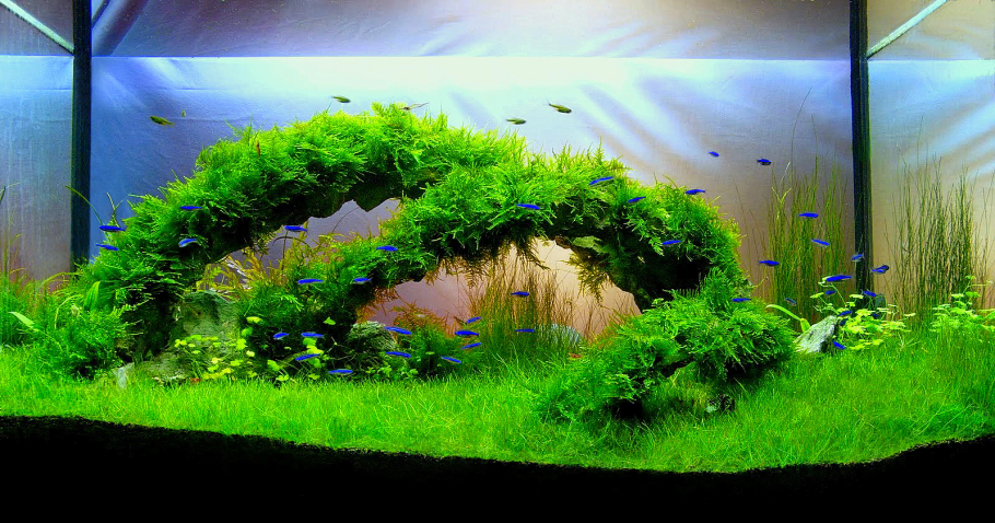 Аквадизайн 200