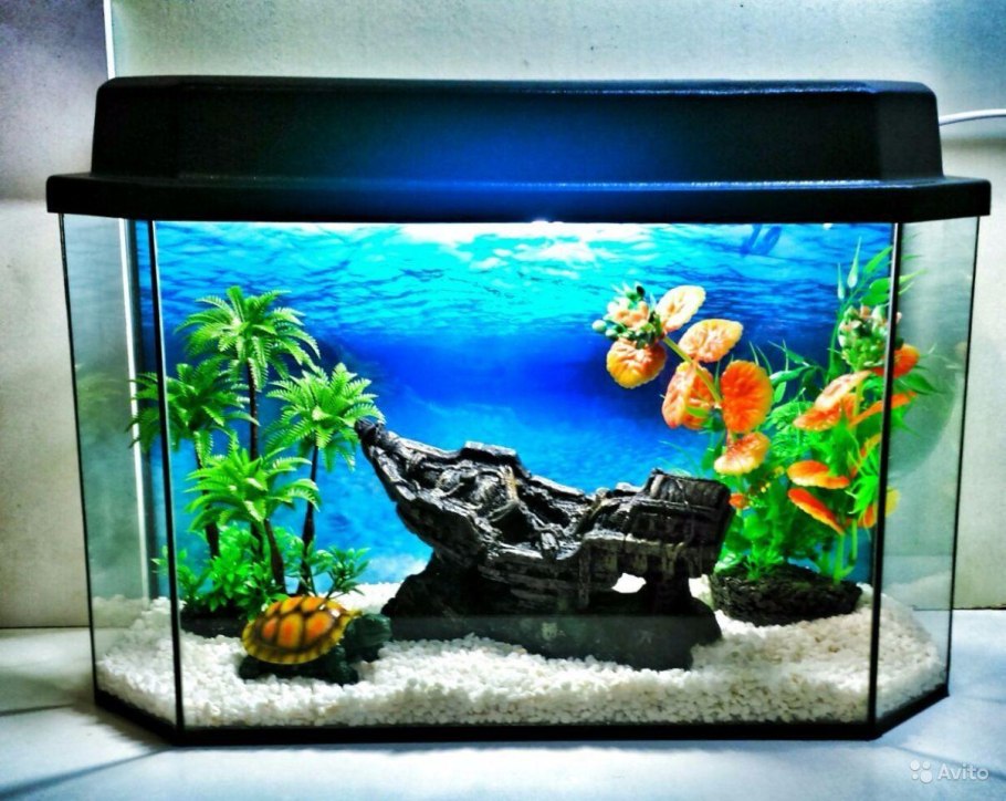 Украсить аквариум