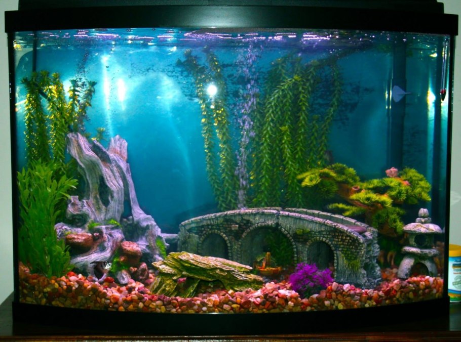 Аквариум (Fish Tank) 2009