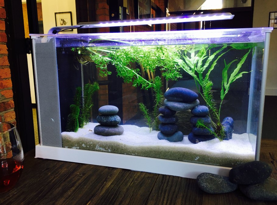 Украшения для аквариума