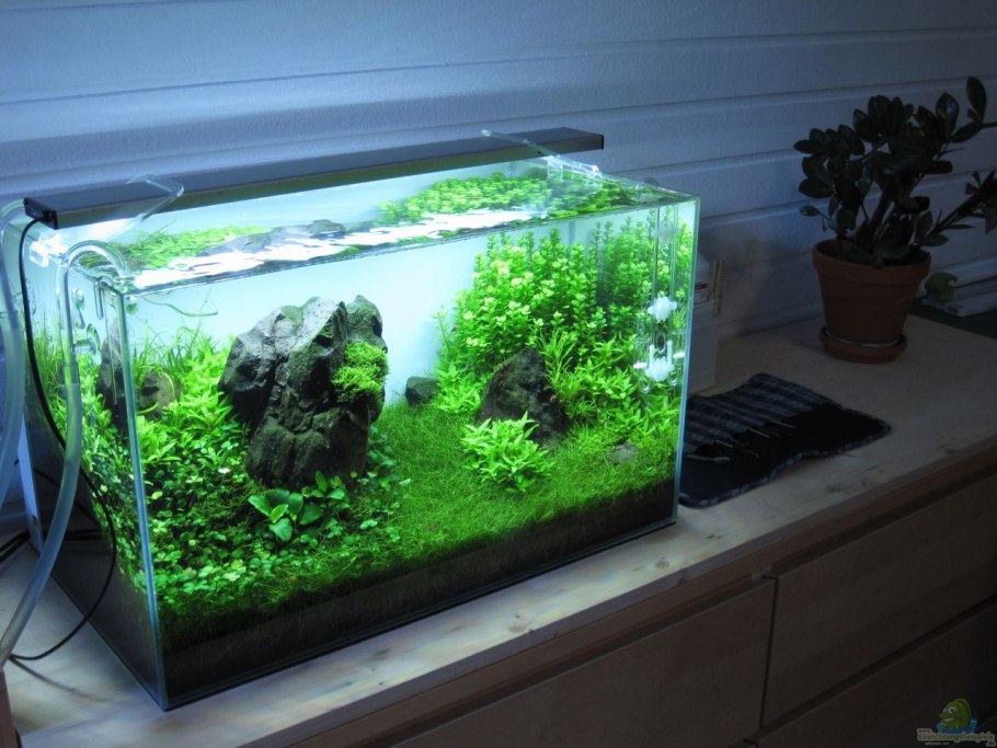 Украшения в больших аквариумах