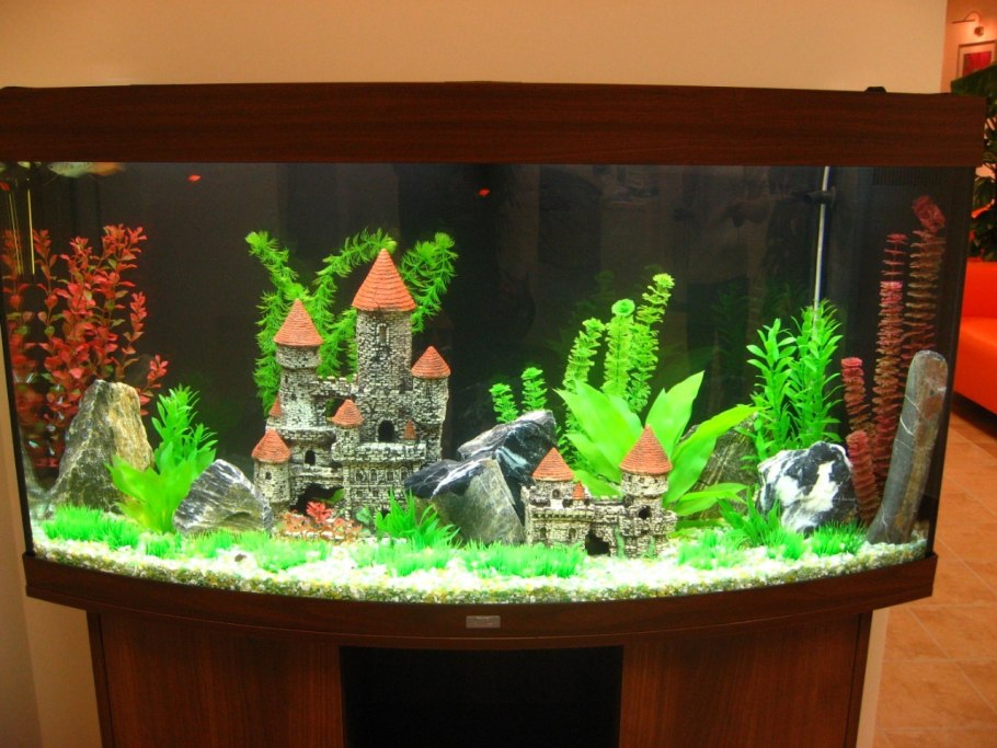 Украсить аквариум