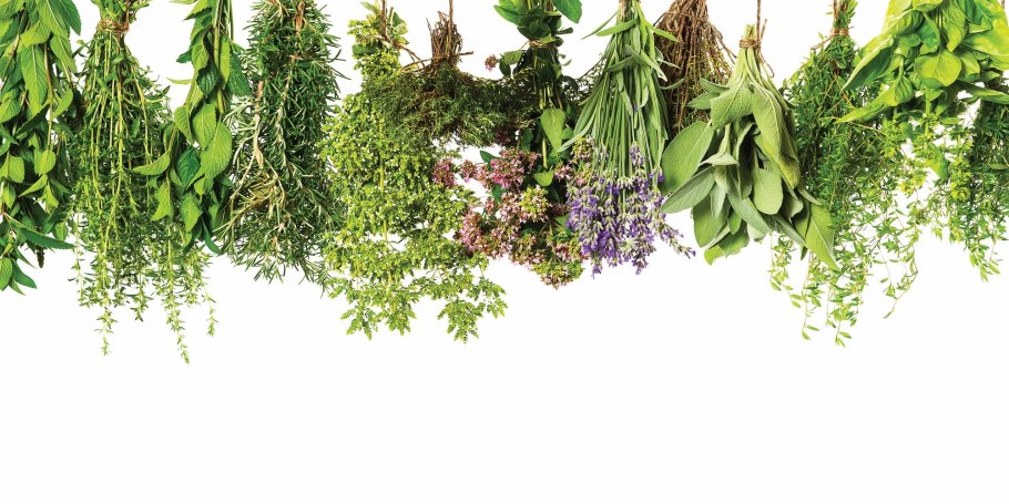 Лекарственные травы