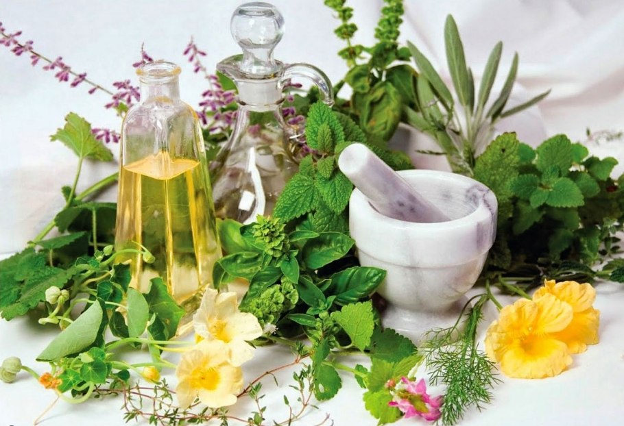 Лекарственные травы