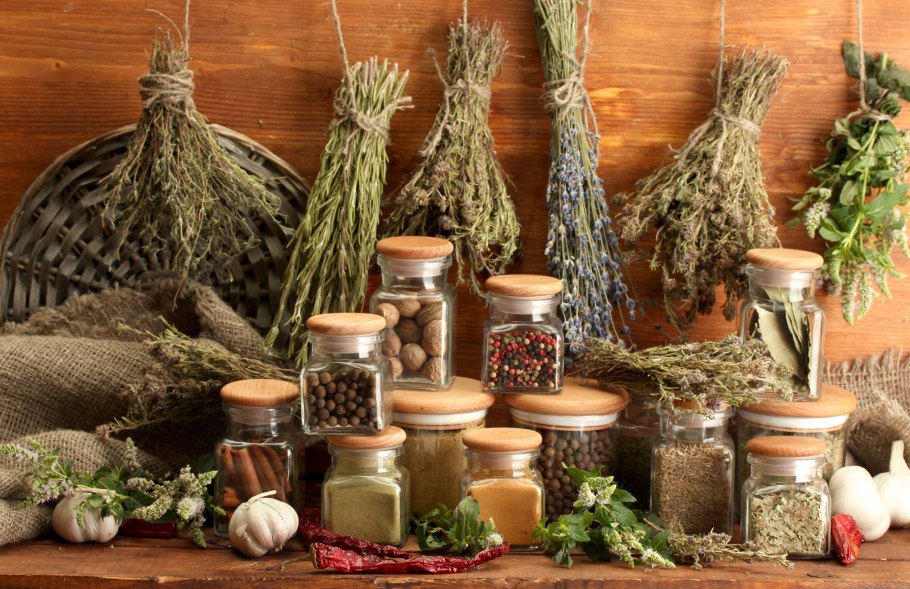 Лекарственные растения