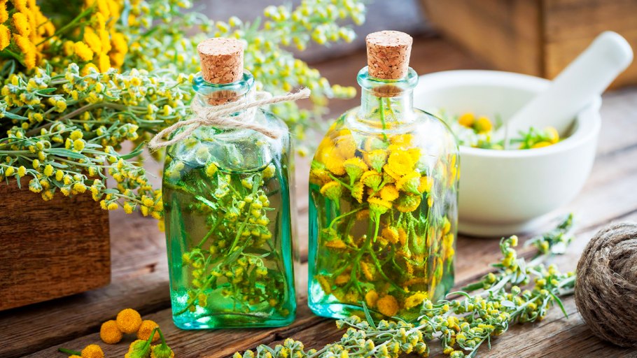 Сныть суперфуд