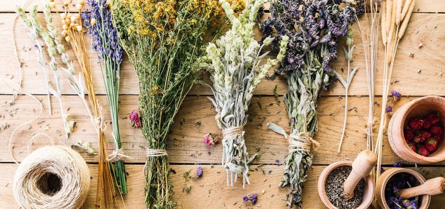 Кипрей узколистный Иван-чай