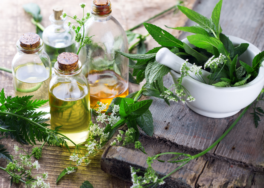 Лечебные травы