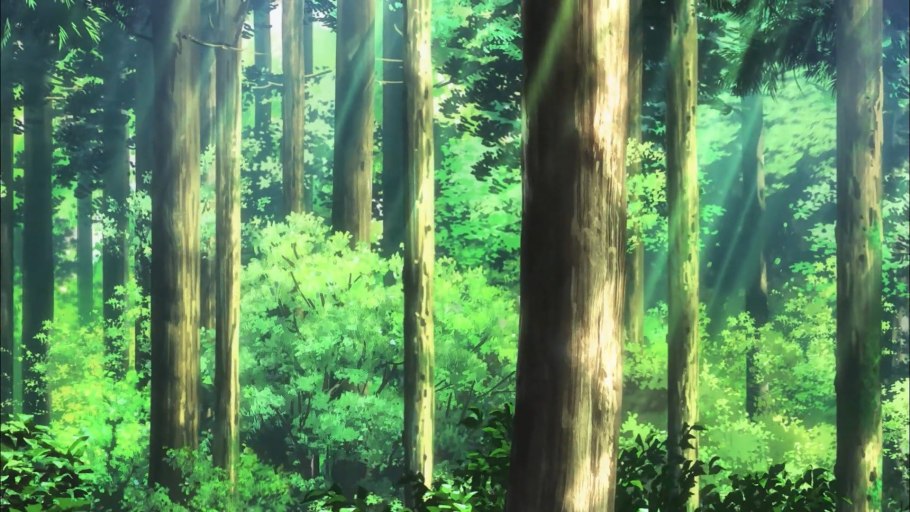 Лес Шикоцу Наруто