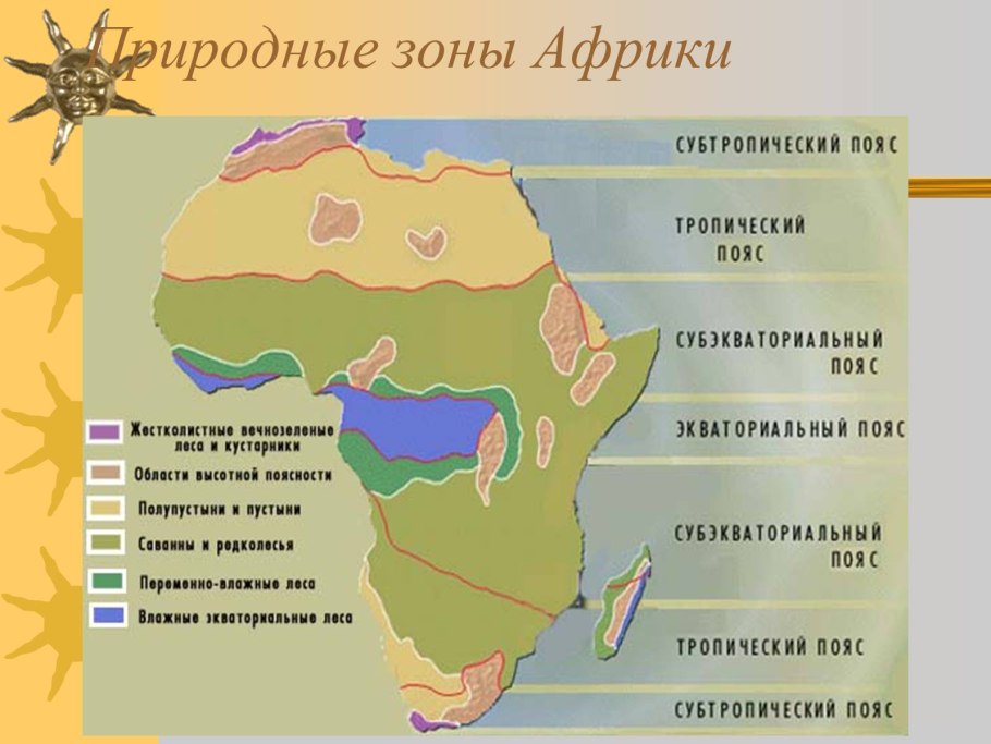 Жестколиственные вечнозеленые леса