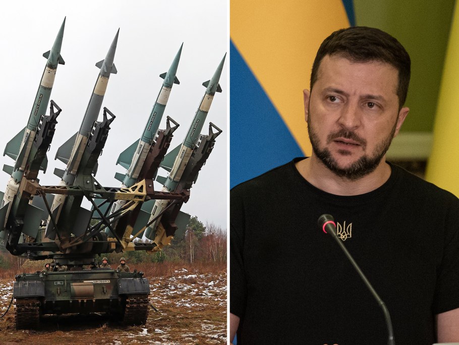 Слива Уральская красная