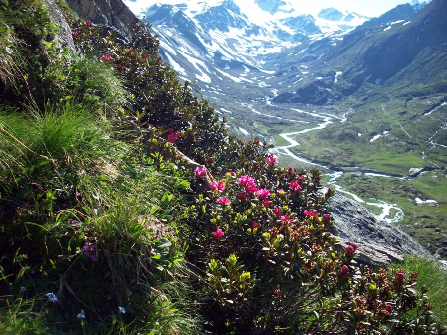 Национальные парки Италии Стельвио