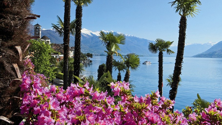 Субтропики Сочи климат