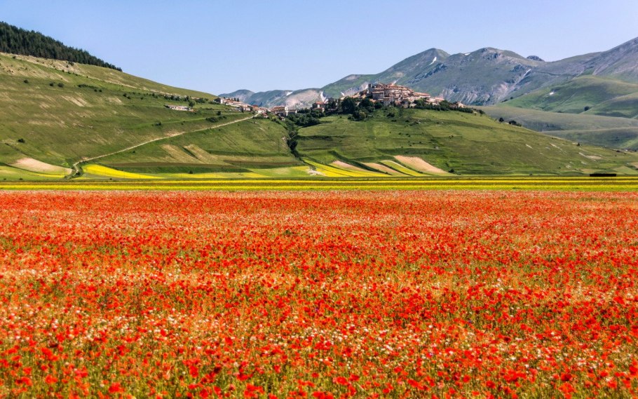 Кастеллуччо, Италия, цветы