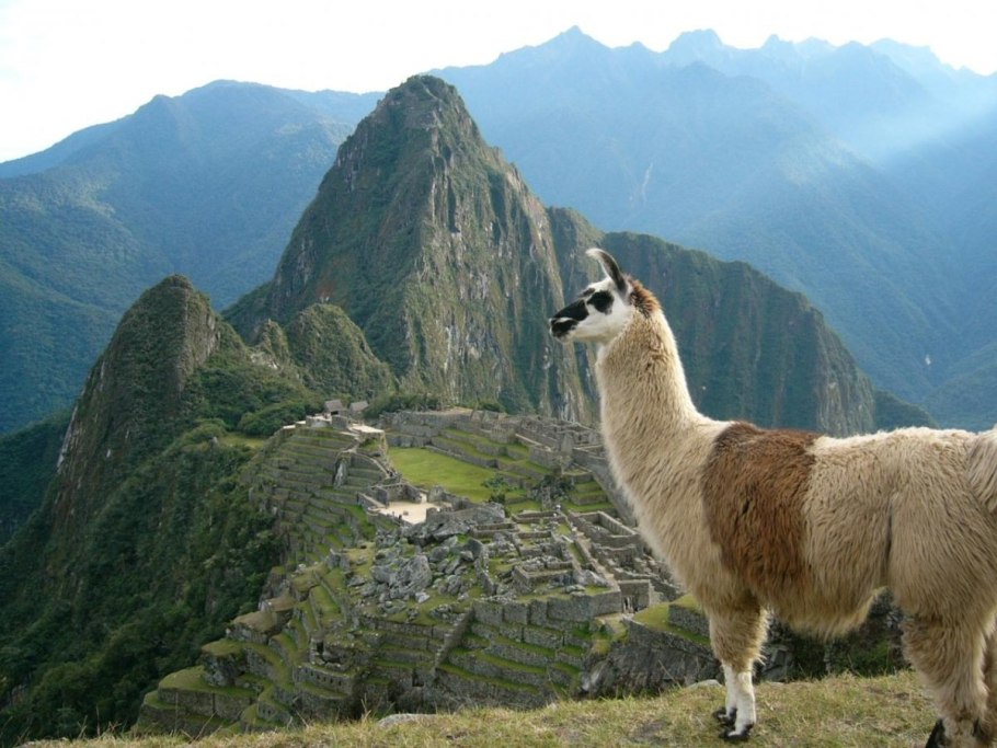 Животный мир Италии