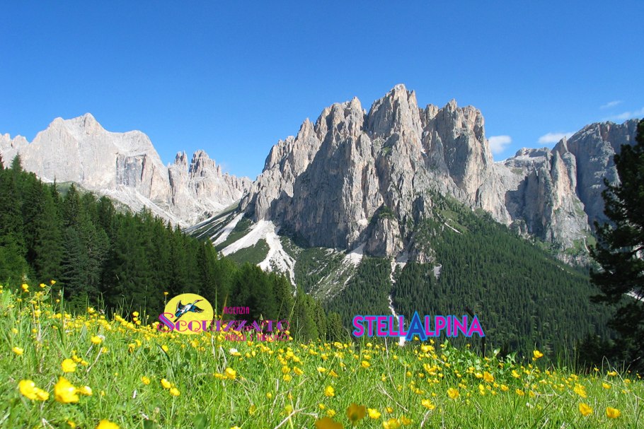 Флора Италии