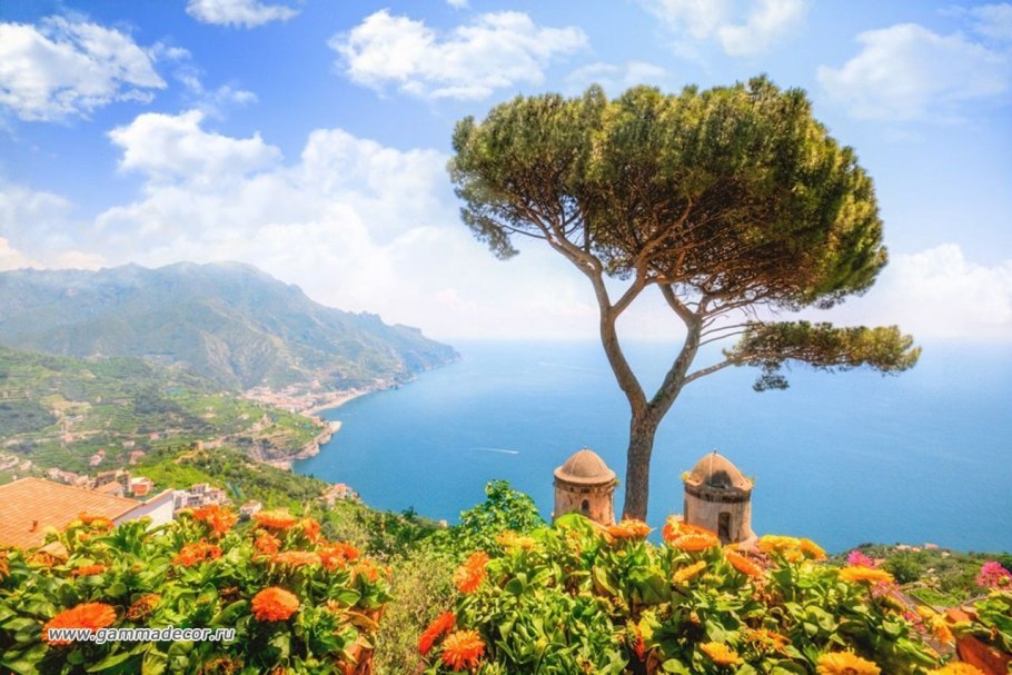 Средиземноморская растительность Италии