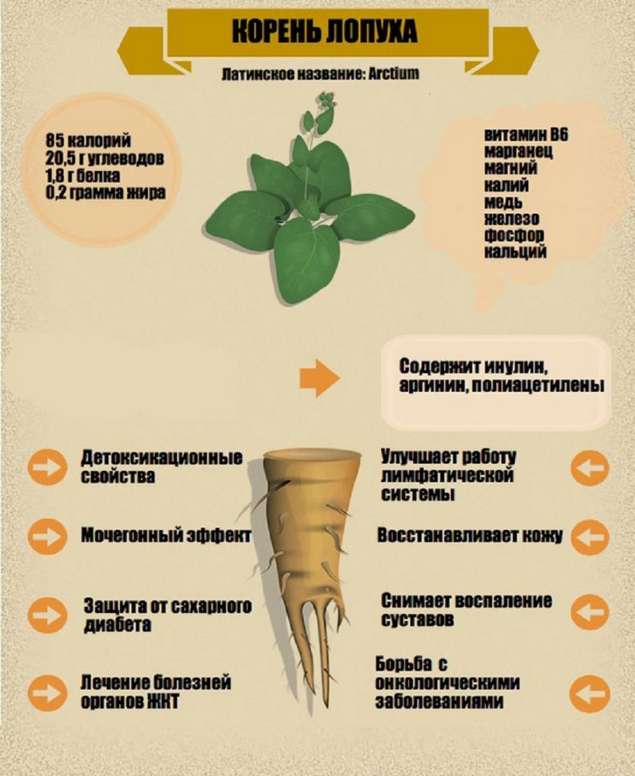 Репейник (Burdock)