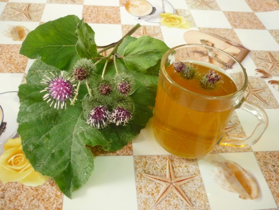 Сок листьев лопуха лечебные