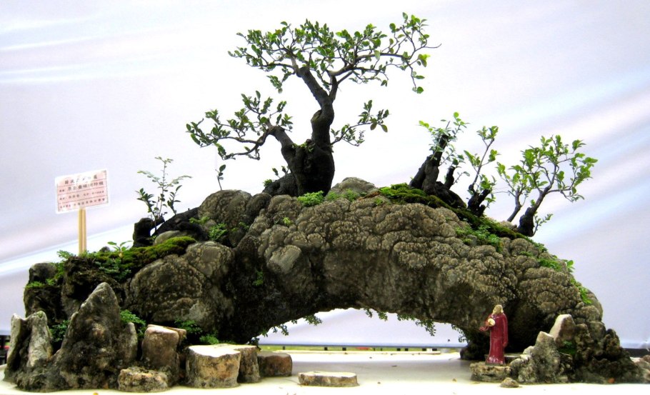 Бонсай ландшафт в миниатюре