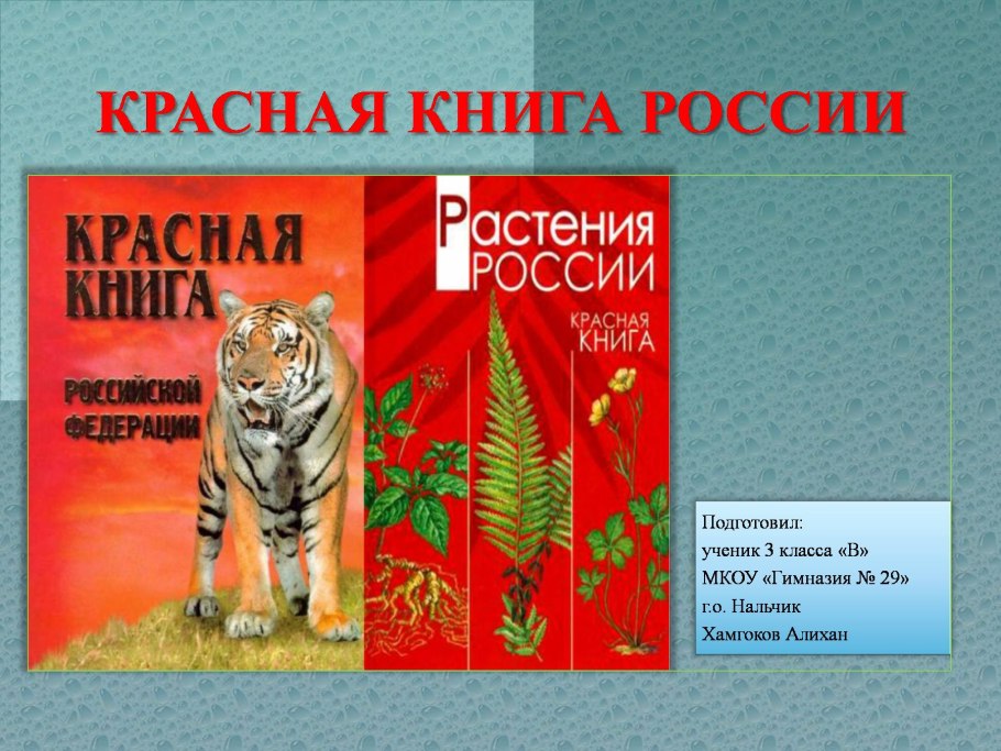 Листовка растения красной книги