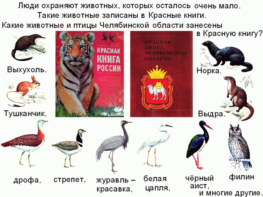 Животное занесенное в красную книгу России