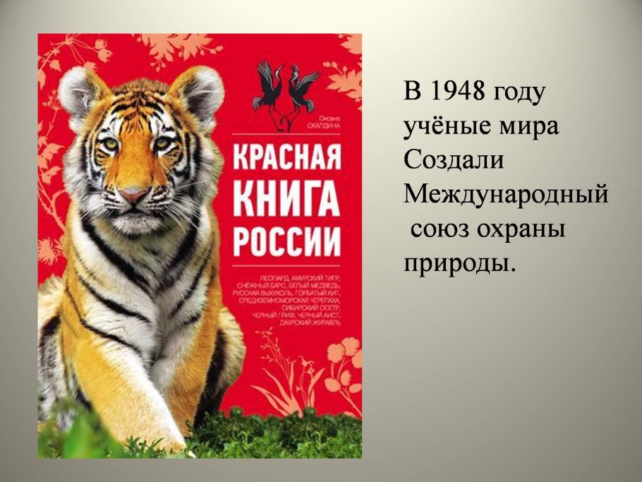 О красной книге россии