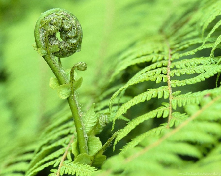 Микшерный пульт Markus LS 82d