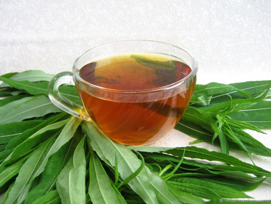 Кипрей узколистный Иван-чай