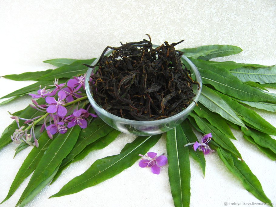 Иван чай на Чукотке