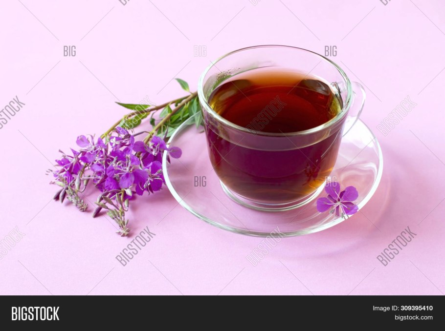 Кукольник трава