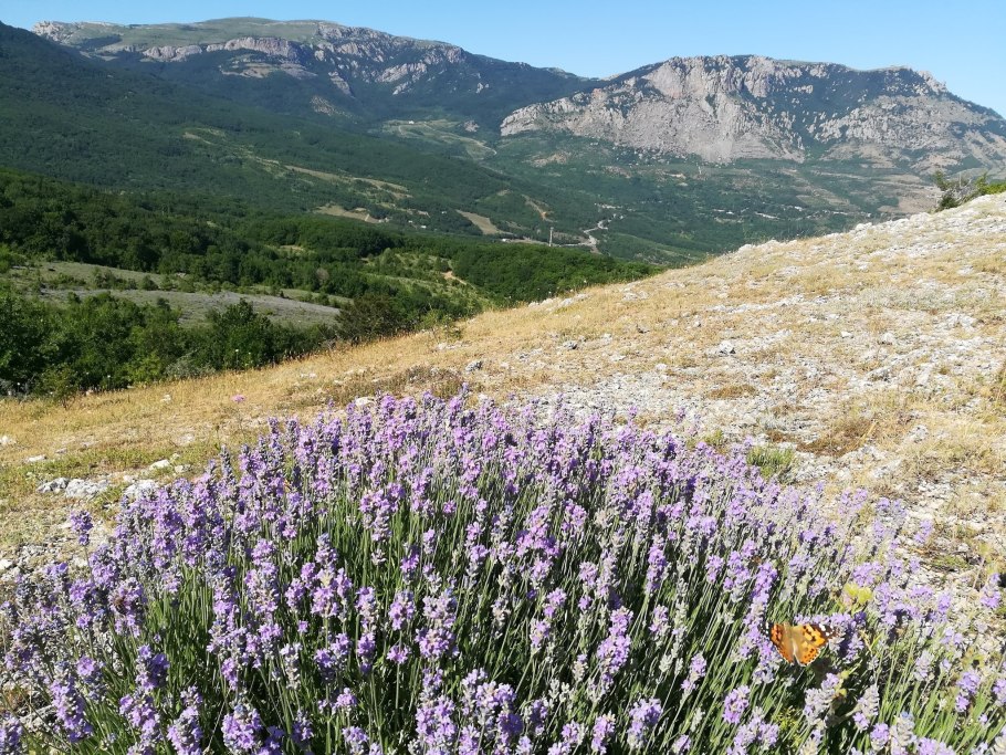 Косметические средства из трав
