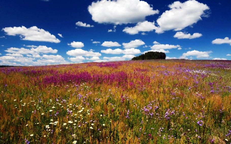 Рылей ползуций биологическая группа