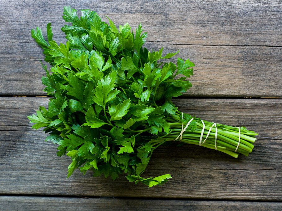 Петрушка parsley