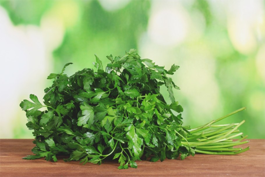 Петрушка курчавая