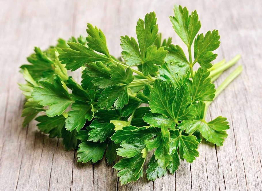 Петрушка овощ