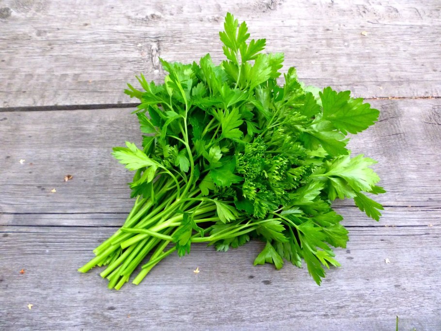 Петрушка parsley
