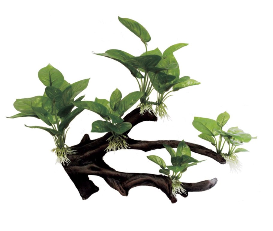 Акваскейп коряга анубиас мох фото