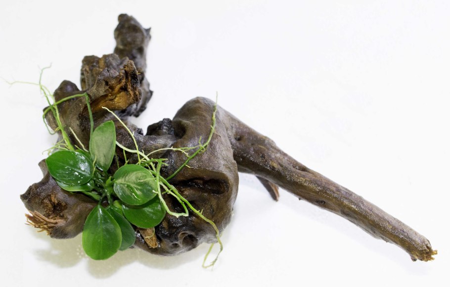 Искусственное растение ARTUNIQ мангровая коряга с анубиасом 39,5x11x26 см