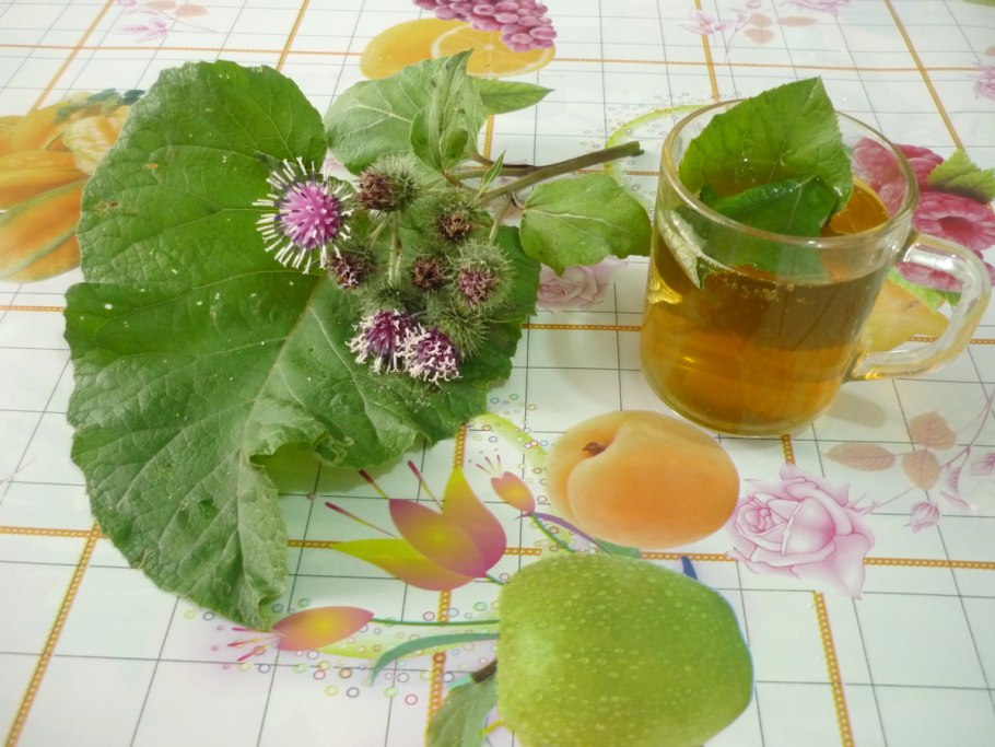 Лосьон из крапивы для волос