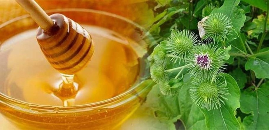 Сок корня лопуха с медом