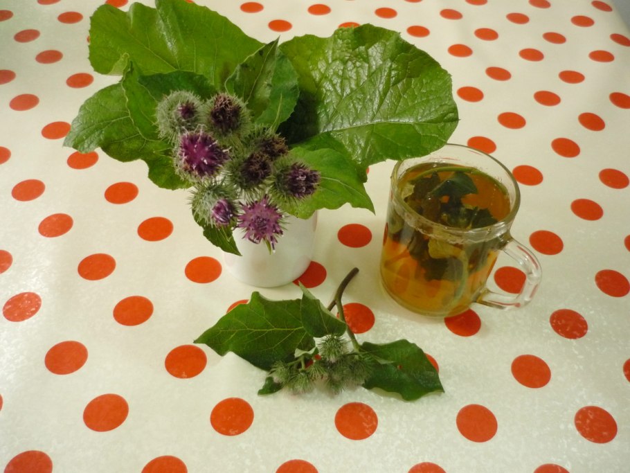 Отвар из корня