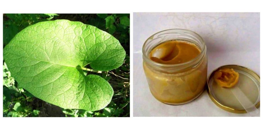 Репейное масло