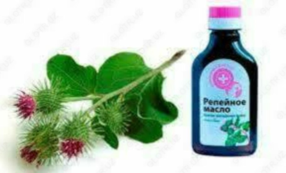 Медоносные растения лопух