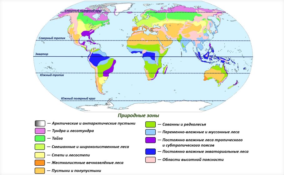 Мак Арктический осенью