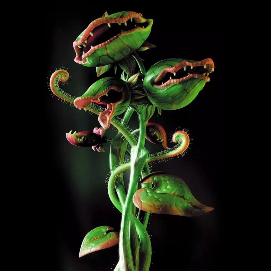 Растение хищник Венерина мухоловка