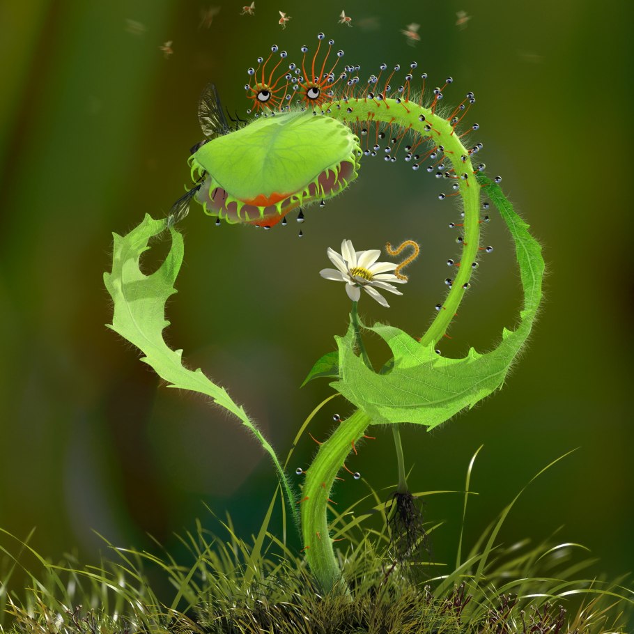 Актиния Венерина мухоловка