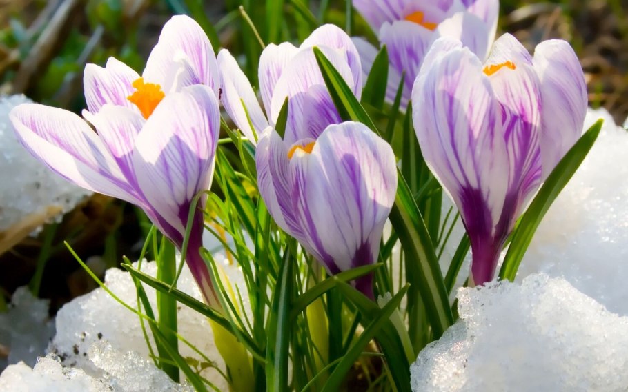 Your face песня