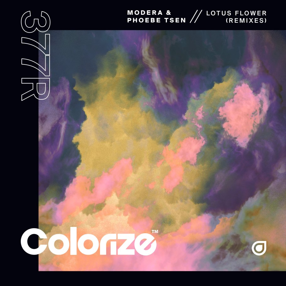 Цветы крокусы первоцветы